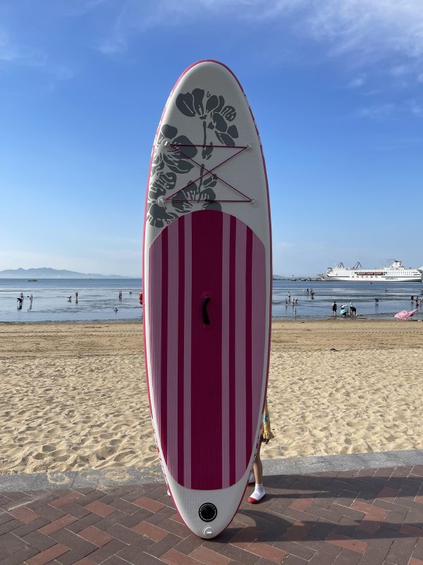 motorized paddle board