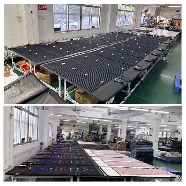 PEMF Mat - Image 4